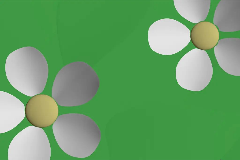 One of the frames from the animation of two raspberry flowers overtop a green leaf background
